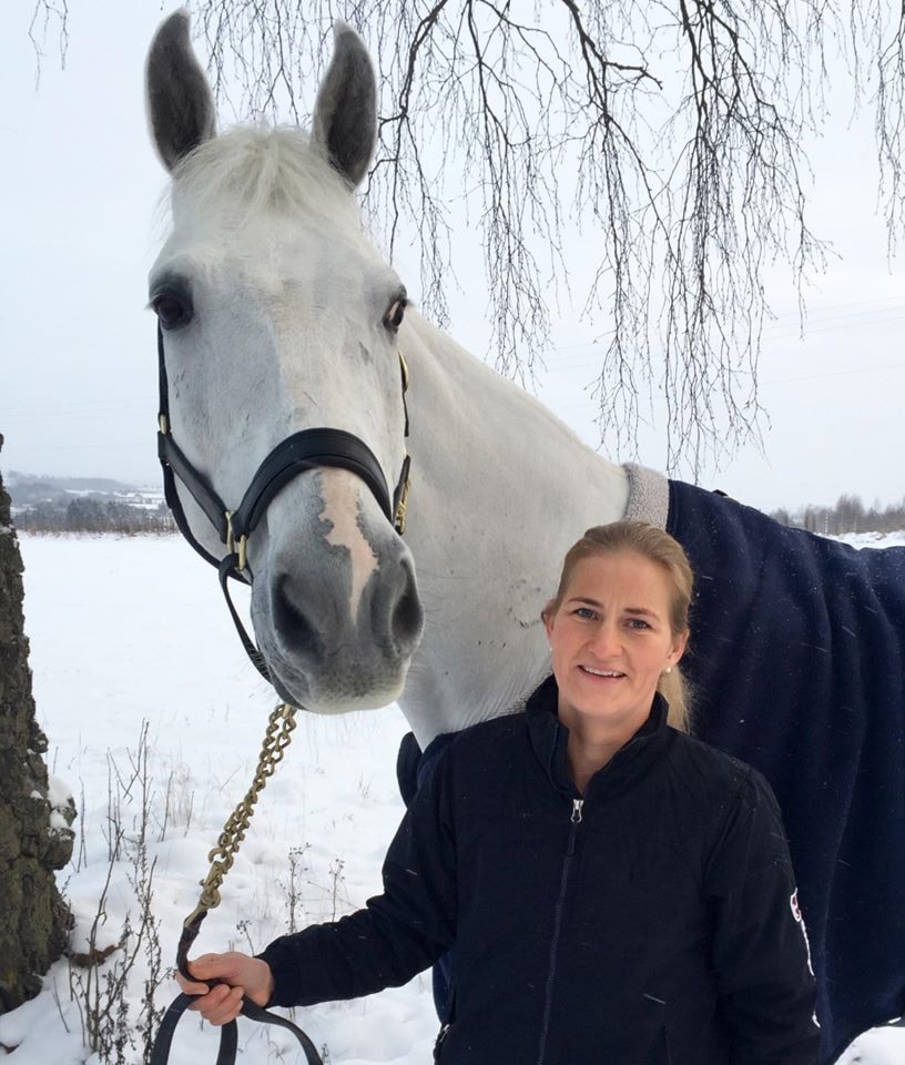 Veterinærforedrag om hestens munnhule - bitt